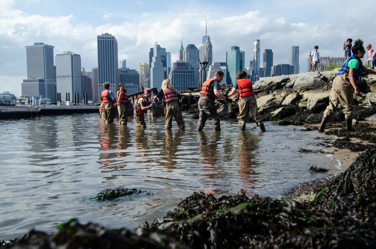 Q&A: How evolution influences nature-based infrastructure