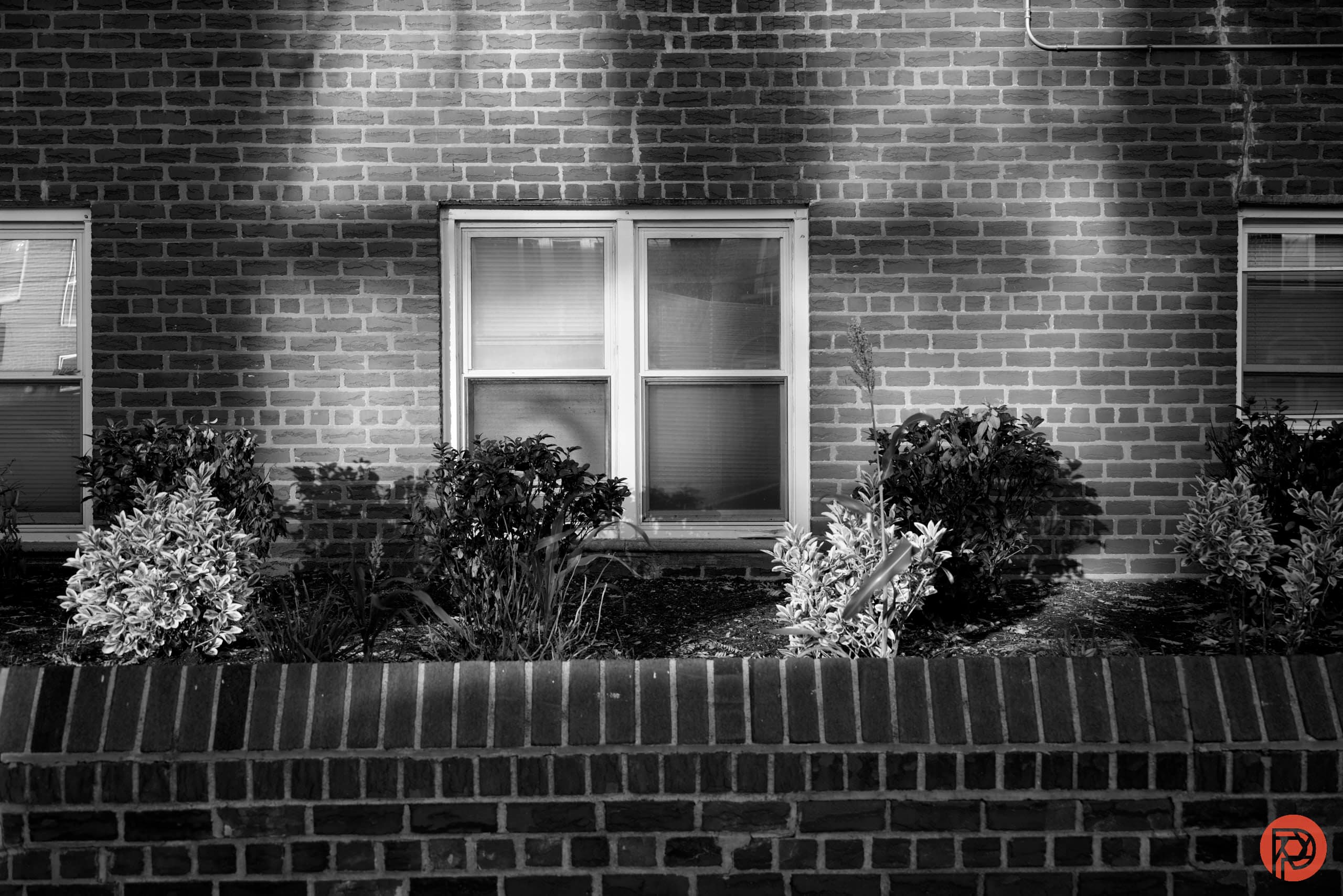 Leading Lines in Black and White Photography: a Tutorial